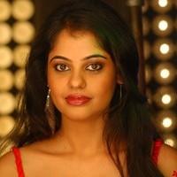 Bindhu Madhavi Hot Photo Shoot Pictures | Picture 93550